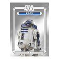 Star Wars R2-D2 2.5 x 3.5 Inch Flat Magnet