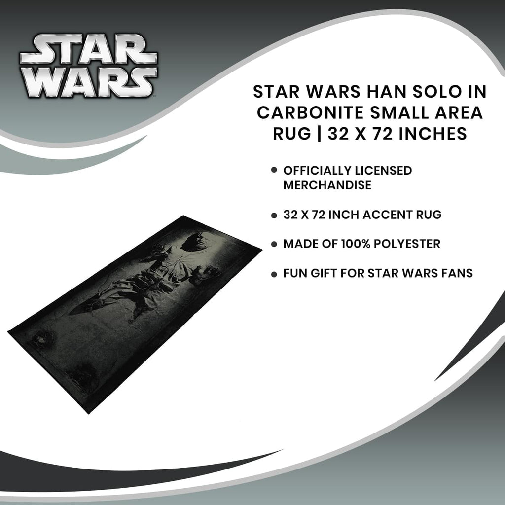Star Wars Han Solo in Carbonite Small Area Rug | 32 x 72 Inches
