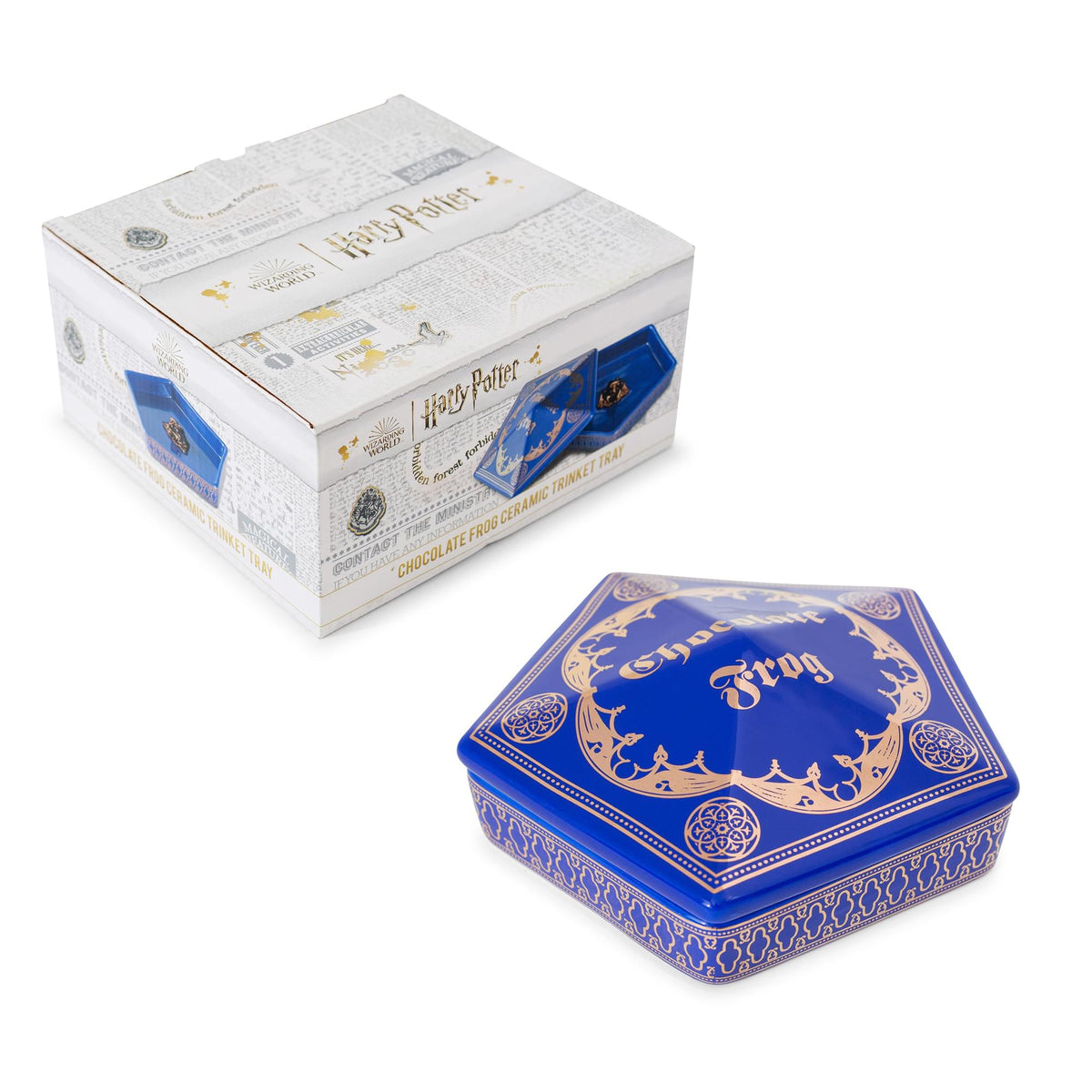 Harry Potter Chocolate Frog Ceramic Trinket Tray Dish