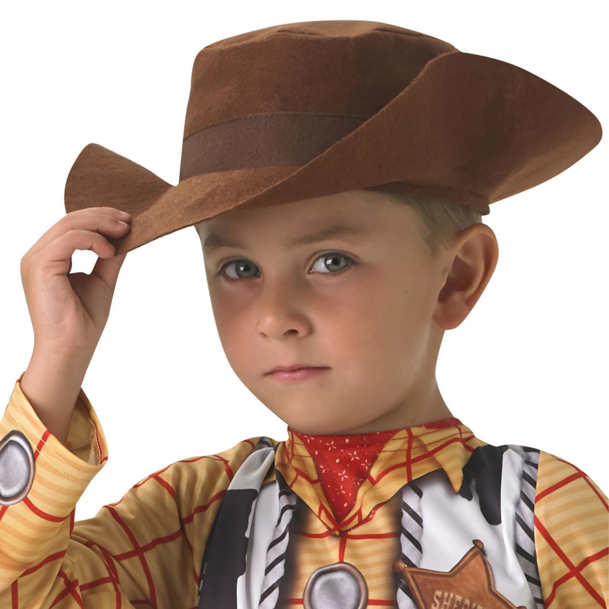 Disney Toy Story Woody Classic Child Costume